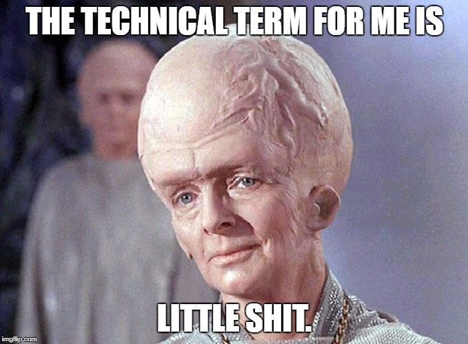 TALOSIAN SMIRK | THE TECHNICAL TERM FOR ME IS; LITTLE SHIT. | image tagged in talosian smirk | made w/ Imgflip meme maker