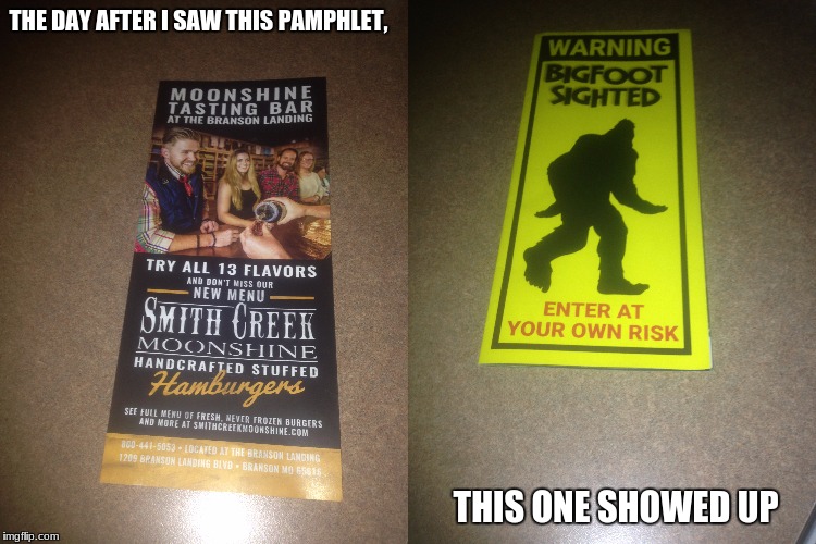 THE DAY AFTER I SAW THIS PAMPHLET, THIS ONE SHOWED UP | image tagged in memes | made w/ Imgflip meme maker