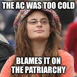 hippie meme girl | THE AC WAS TOO COLD; BLAMES IT ON THE PATRIARCHY | image tagged in hippie meme girl | made w/ Imgflip meme maker