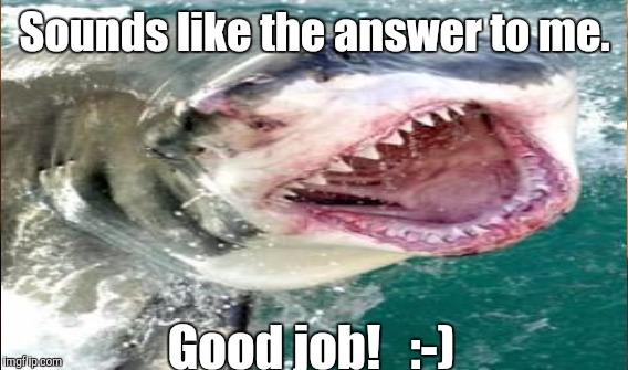 Sounds like the answer to me. Good job!   :-) | made w/ Imgflip meme maker
