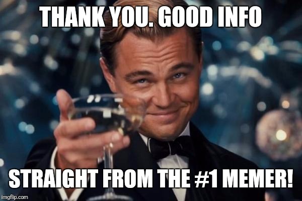 Leonardo Dicaprio Cheers Meme | THANK YOU. GOOD INFO STRAIGHT FROM THE #1 MEMER! | image tagged in memes,leonardo dicaprio cheers | made w/ Imgflip meme maker