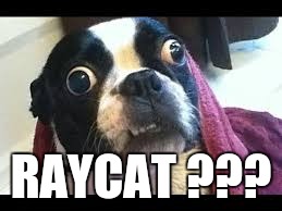 RAYCAT ??? | made w/ Imgflip meme maker