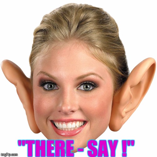Memes, Big Ear Girl | "THERE - SAY !" | image tagged in memes big ear girl | made w/ Imgflip meme maker