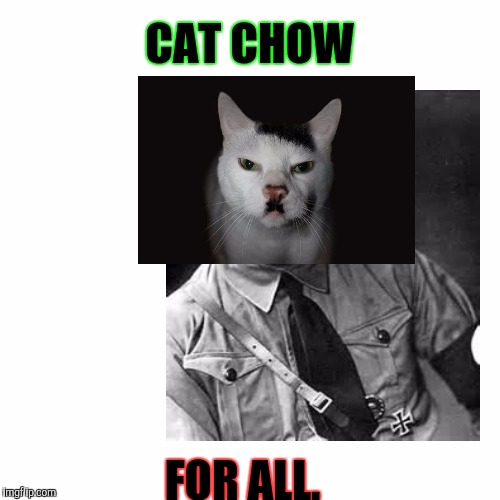 CAT CHOW FOR ALL. | made w/ Imgflip meme maker