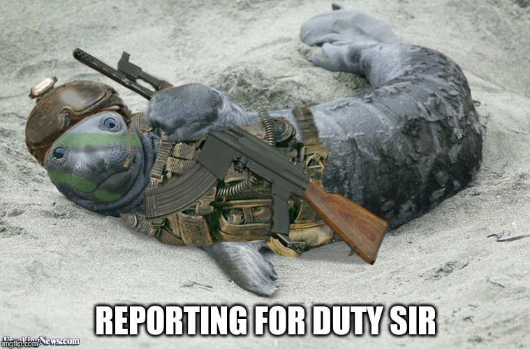 REPORTING FOR DUTY SIR | made w/ Imgflip meme maker