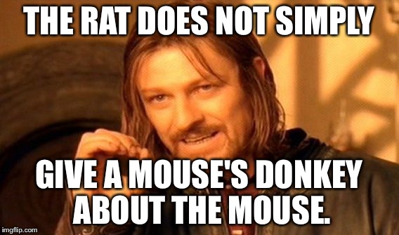 One Does Not Simply Meme | THE RAT DOES NOT SIMPLY; GIVE A MOUSE'S DONKEY ABOUT THE MOUSE. | image tagged in memes,one does not simply | made w/ Imgflip meme maker