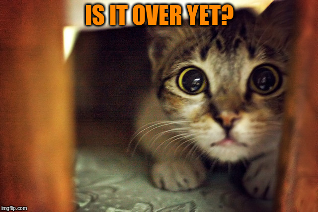 IS IT OVER YET? | made w/ Imgflip meme maker