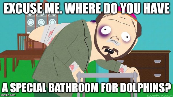 South Park Dolphin | EXCUSE ME. WHERE DO YOU HAVE; A SPECIAL BATHROOM FOR DOLPHINS? | image tagged in south park dolphin,kyle,special education,transgender bathroom,lawphin,lawyer | made w/ Imgflip meme maker