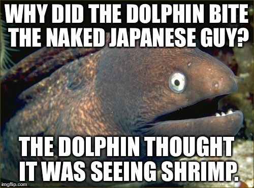 Dolphin eats Japanese Guy - bad joke eel | WHY DID THE DOLPHIN BITE THE NAKED JAPANESE GUY? THE DOLPHIN THOUGHT IT WAS SEEING SHRIMP. | image tagged in memes,bad joke eel,dumb joke dolphin,japanese,naked,shrimp | made w/ Imgflip meme maker