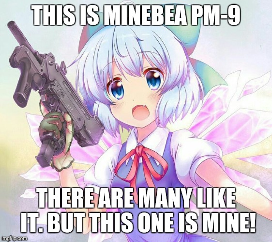 THIS IS MINEBEA PM-9; THERE ARE MANY LIKE IT. BUT THIS ONE IS MINE! | image tagged in touhou,cirno | made w/ Imgflip meme maker