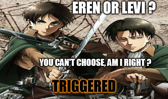EREN OR LEVI ? | EREN OR LEVI ? YOU CAN'T CHOOSE, AM I RIGHT ? TRIGGERED | image tagged in choose,attack on titan,triggered,sexy | made w/ Imgflip meme maker