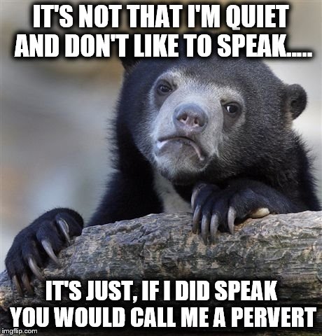 Confession Bear | IT'S NOT THAT I'M QUIET AND DON'T LIKE TO SPEAK..... IT'S JUST, IF I DID SPEAK YOU WOULD CALL ME A PERVERT | image tagged in memes,confession bear | made w/ Imgflip meme maker
