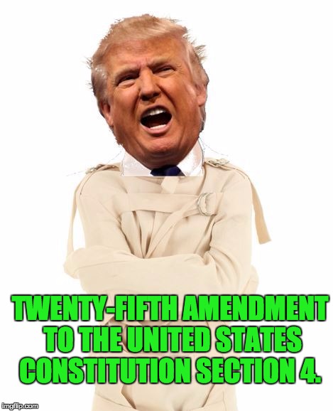 TWENTY-FIFTH AMENDMENT TO THE UNITED STATES CONSTITUTION SECTION 4. | made w/ Imgflip meme maker