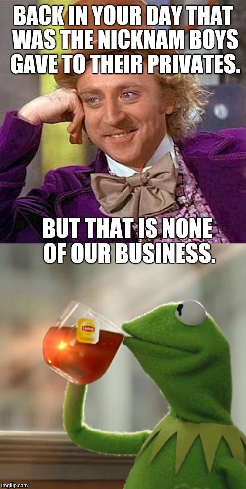 Knicker Knocker | BACK IN YOUR DAY THAT WAS THE NICKNAM BOYS GAVE TO THEIR PRIVATES. BUT THAT IS NONE OF OUR BUSINESS. | image tagged in nsfw,old man,kermit the frog,but thats none of my business,willy wonka,funny memes | made w/ Imgflip meme maker