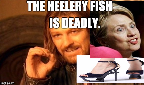 One Does Not Simply Meme | THE HEELERY FISH IS DEADLY. | image tagged in memes,one does not simply | made w/ Imgflip meme maker