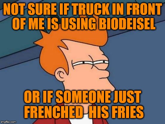 Futurama Fry Meme | NOT SURE IF TRUCK IN FRONT OF ME IS USING BIODEISEL; OR IF SOMEONE JUST FRENCHED
 HIS FRIES | image tagged in memes,futurama fry | made w/ Imgflip meme maker