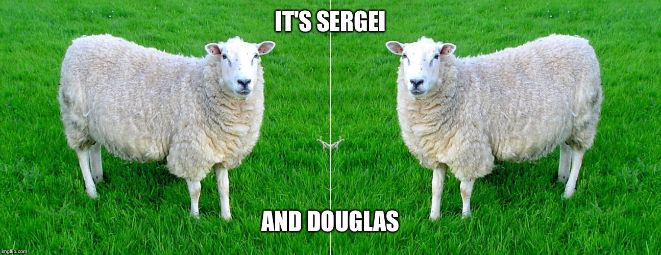 Two Sided Sheep | IT'S SERGEI; AND DOUGLAS | image tagged in two sided sheep | made w/ Imgflip meme maker