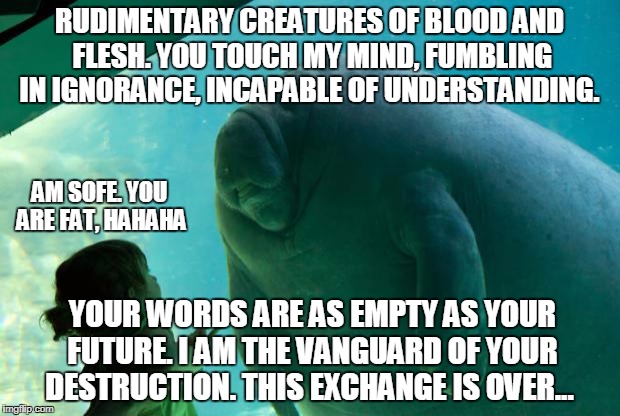 Overlord Manatee | RUDIMENTARY CREATURES OF BLOOD AND FLESH. YOU TOUCH MY MIND, FUMBLING IN IGNORANCE, INCAPABLE OF UNDERSTANDING. AM SOFE. YOU ARE FAT, HAHAHA; YOUR WORDS ARE AS EMPTY AS YOUR FUTURE. I AM THE VANGUARD OF YOUR DESTRUCTION. THIS EXCHANGE IS OVER... | image tagged in overlord manatee | made w/ Imgflip meme maker