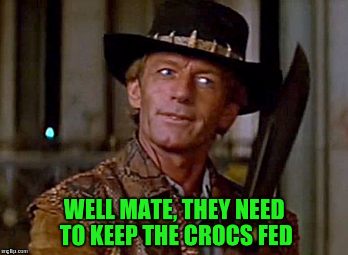 WELL MATE, THEY NEED TO KEEP THE CROCS FED | made w/ Imgflip meme maker