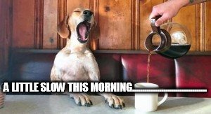 wake up!!! | A LITTLE SLOW THIS MORNING.................................... | image tagged in coffee | made w/ Imgflip meme maker