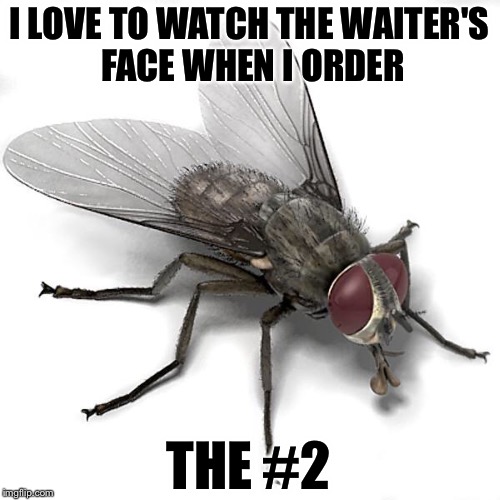 Let it sink in... | I LOVE TO WATCH THE WAITER'S FACE WHEN I ORDER; THE #2 | image tagged in scumbag house fly,eat shit,poop | made w/ Imgflip meme maker