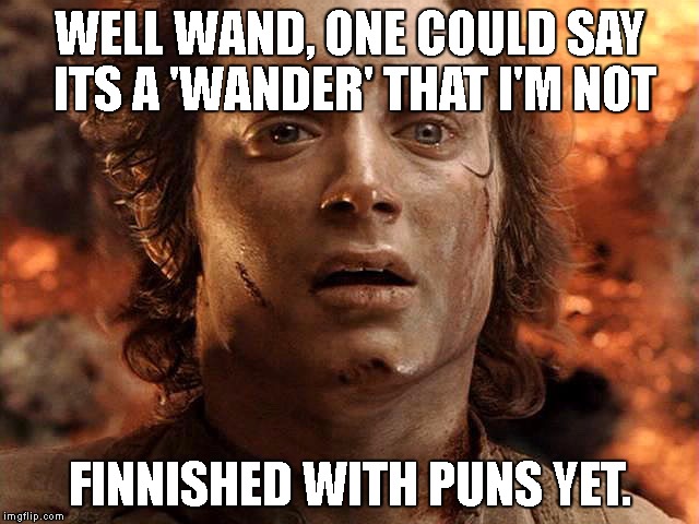 Frodo Its Over Its Done | WELL WAND, ONE COULD SAY ITS A 'WANDER' THAT I'M NOT; FINNISHED WITH PUNS YET. | image tagged in frodo its over its done | made w/ Imgflip meme maker