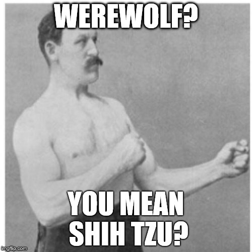 Overly Manly Man Little Ankle Biter  | WEREWOLF? YOU MEAN SHIH TZU? | image tagged in memes,overly manly man,werewolf | made w/ Imgflip meme maker