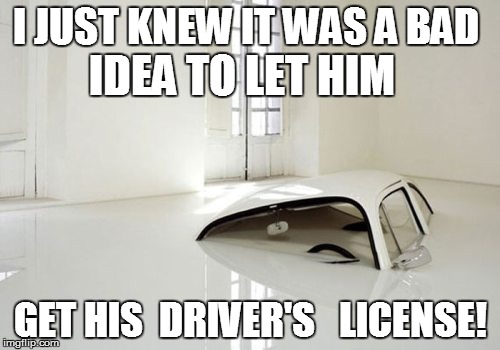 Farmer's is gonna LOVE this one! | I JUST KNEW IT WAS A BAD; IDEA TO LET HIM; GET HIS  DRIVER'S   LICENSE! | image tagged in funny | made w/ Imgflip meme maker