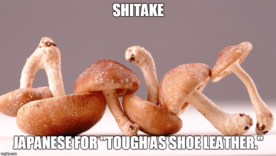 shitake mushrooms | SHITAKE; JAPANESE FOR "TOUGH AS SHOE LEATHER." | image tagged in mushrooms,cooking,japanese,food,definition,translation | made w/ Imgflip meme maker