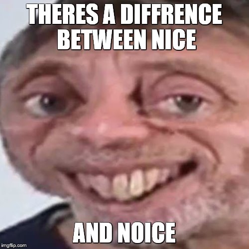 Noice | THERES A DIFFRENCE BETWEEN NICE; AND NOICE | image tagged in noice | made w/ Imgflip meme maker