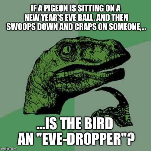 Bird crap - eve dropper | IF A PIGEON IS SITTING ON A NEW YEAR'S EVE BALL, AND THEN SWOOPS DOWN AND CRAPS ON SOMEONE,... ...IS THE BIRD AN "EVE-DROPPER"? | image tagged in memes,philosoraptor,new years eve,angry birds,crap,mic drop | made w/ Imgflip meme maker