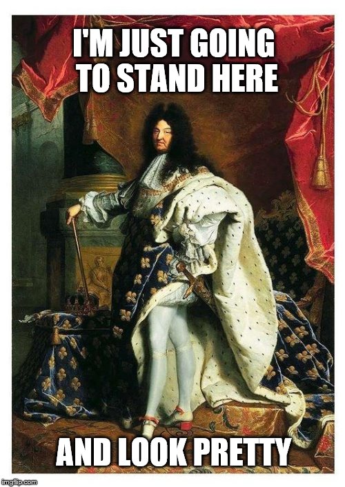 Sun King Swag | I'M JUST GOING TO STAND HERE; AND LOOK PRETTY | image tagged in louis xiv,too pretty | made w/ Imgflip meme maker