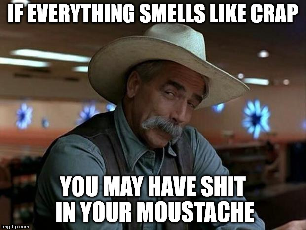 special kind of stupid | IF EVERYTHING SMELLS LIKE CRAP; YOU MAY HAVE SHIT IN YOUR MOUSTACHE | image tagged in special kind of stupid | made w/ Imgflip meme maker
