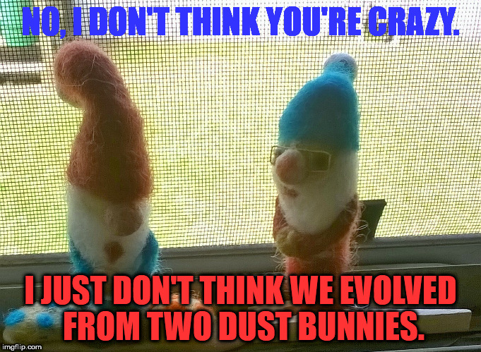 NO, I DON'T THINK YOU'RE CRAZY. I JUST DON'T THINK WE EVOLVED FROM TWO DUST BUNNIES. | image tagged in two gnomes | made w/ Imgflip meme maker