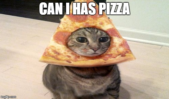 CAN I HAS PIZZA | made w/ Imgflip meme maker