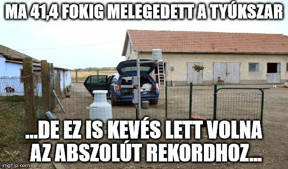 beillesztett kép