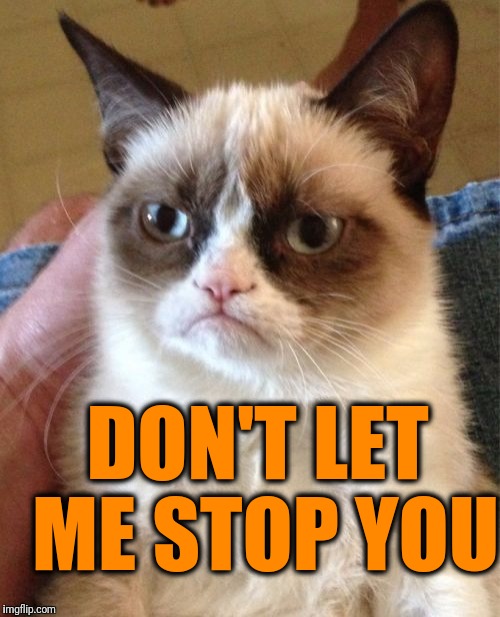Grumpy Cat Meme | DON'T LET ME STOP YOU | image tagged in memes,grumpy cat | made w/ Imgflip meme maker