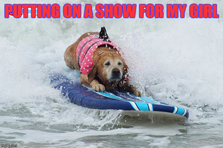 PUTTING ON A SHOW FOR MY GIRL | image tagged in memes,dogs,animal sports,sporting dogs | made w/ Imgflip meme maker