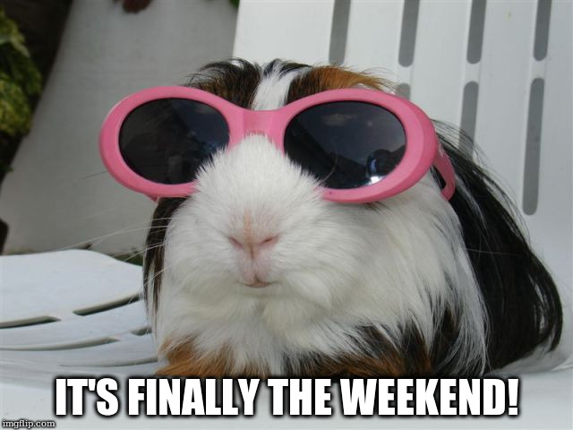 IT'S FINALLY THE WEEKEND! | made w/ Imgflip meme maker