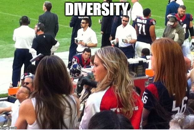 Diversity | DIVERSITY | image tagged in yep | made w/ Imgflip meme maker