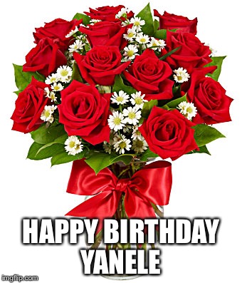 2 dozen roses | HAPPY BIRTHDAY YANELE | image tagged in 2 dozen roses | made w/ Imgflip meme maker