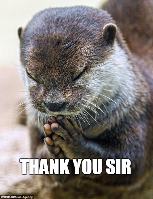 Thank you | THANK YOU SIR | image tagged in thank you lord otter,thank you,thank you meme | made w/ Imgflip meme maker