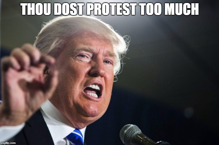 donald trump | THOU DOST PROTEST TOO MUCH | image tagged in donald trump | made w/ Imgflip meme maker