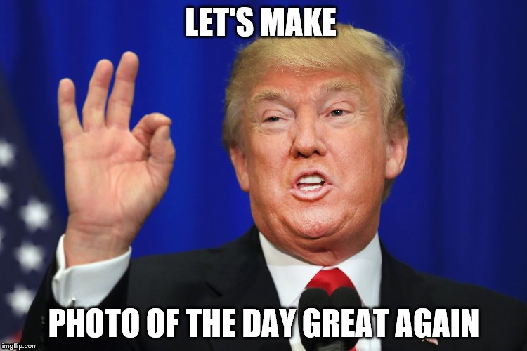 1tl981.jpg