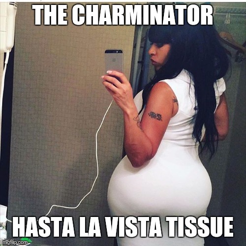 Big Butt | THE CHARMINATOR; HASTA LA VISTA TISSUE | image tagged in big butt | made w/ Imgflip meme maker