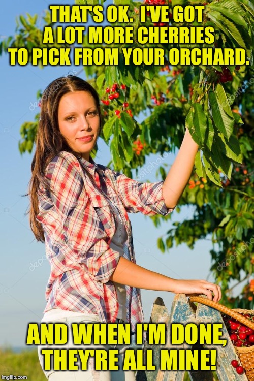 THAT'S OK.  I'VE GOT A LOT MORE CHERRIES TO PICK FROM YOUR ORCHARD. AND WHEN I'M DONE, THEY'RE ALL MINE! | made w/ Imgflip meme maker