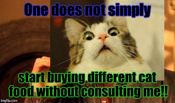 Show a little consideration! :D | One does not simply; start buying different cat food without consulting me!! | image tagged in funny,one does not simply,scared cat,memes,cats,animals | made w/ Imgflip meme maker