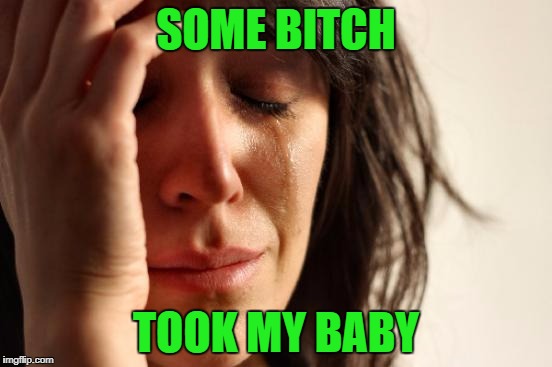 First World Problems Meme | SOME B**CH TOOK MY BABY | image tagged in memes,first world problems | made w/ Imgflip meme maker