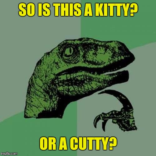 Philosoraptor Meme | SO IS THIS A KITTY? OR A CUTTY? | image tagged in memes,philosoraptor | made w/ Imgflip meme maker