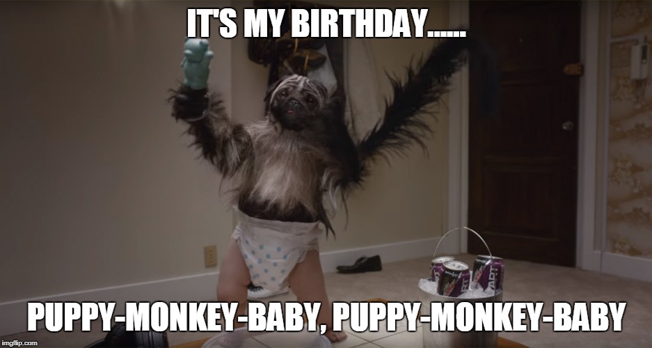 Puppy Monkey Baby Memes Gifs Imgflip